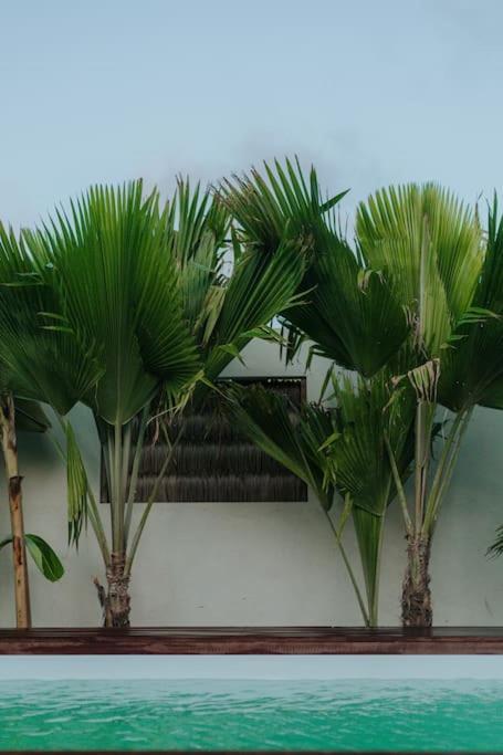 Breezy Chalet - Chale Havai Tutóia Exterior foto